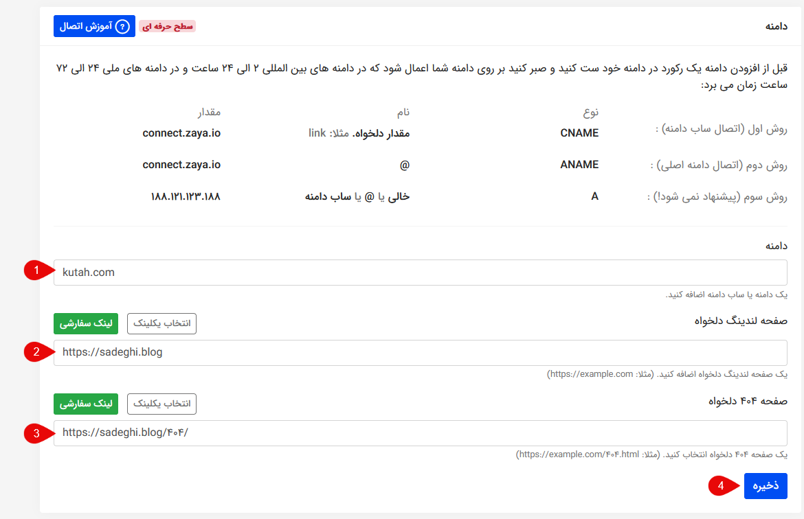 add domain details in zaya dashboard - وبلاگ زایا