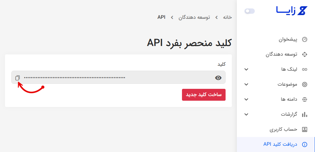 دریافت api زایا