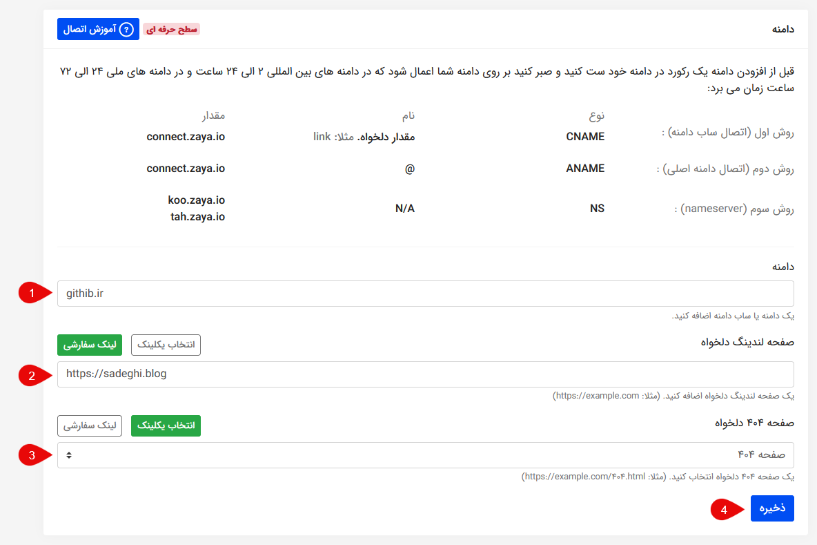 راهنمای اتصال دامنه به زایا با Name Server 8 جزئیات دامنه