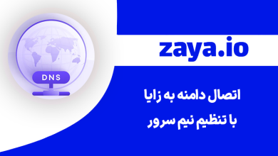 zaya domain connection with name server thumbnail - وبلاگ زایا